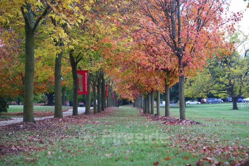 Autumn in Bridgewater